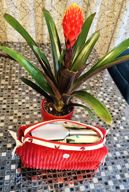 Trousse de toilette "Nœuds²"